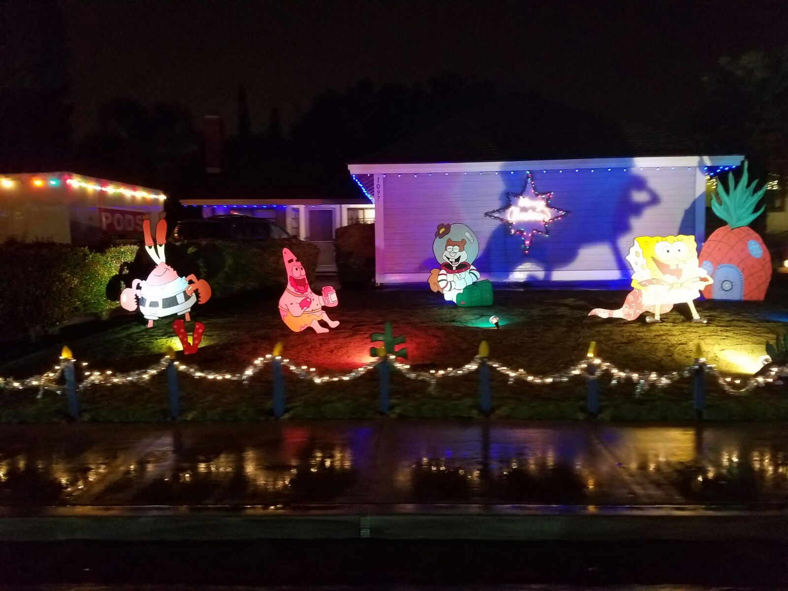 Christmas Lights in Camarillo